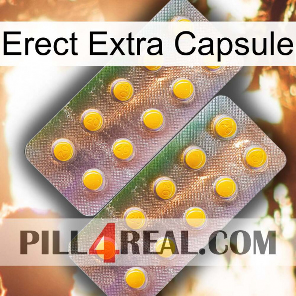 Erect Extra Capsule new10.jpg